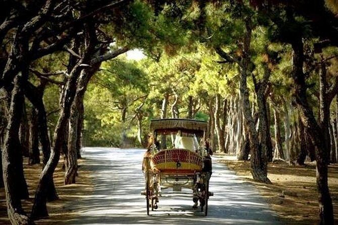 Buyukada Princes Island Guided Day Tour with lunch from Istanbul - Final Thoughts