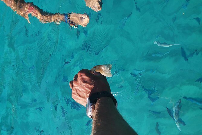By boat between the sea and the most beautiful beaches! Capo Vaticano - Tropea - Briatico - Practical Details: What You Need to Know