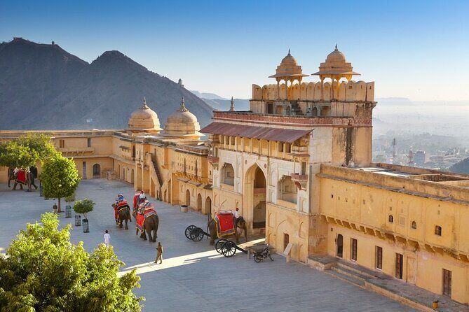 By Car: Private 5-Day Golden Triangle Tour From Delhi - Drawing from Reviews — Authentic Insights