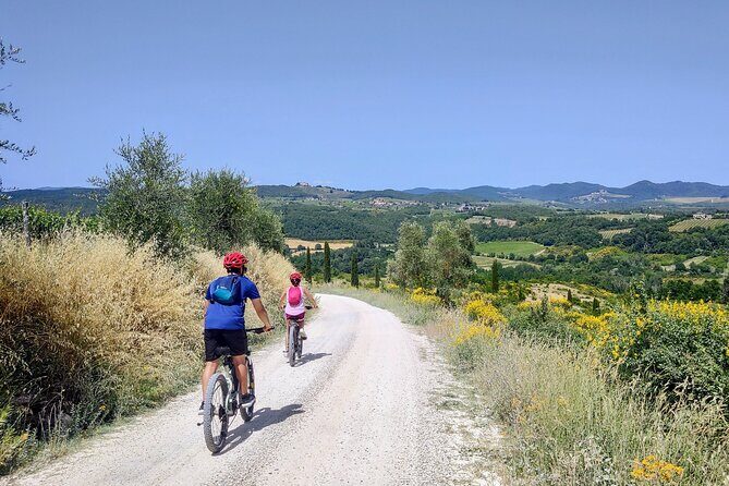 By Ebike: Visit an Art Park and Wine Taste in the Classic Chianti - What We Loved About This Tour