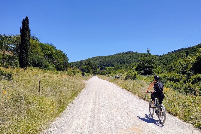 By Ebike: Visit an Art Park and Wine Taste in the Classic Chianti - The Sum Up