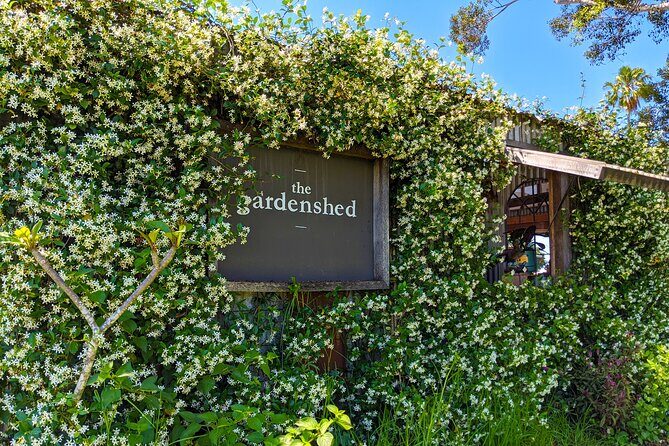 Byron Bay, Bangalow and Gold Coast from Brisbane  Private Tour - Who This Tour Is Best For