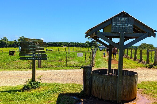 Byron Bay, Bangalow & Gold Coast Day Trip from Brisbane - Who Would Love This Tour?