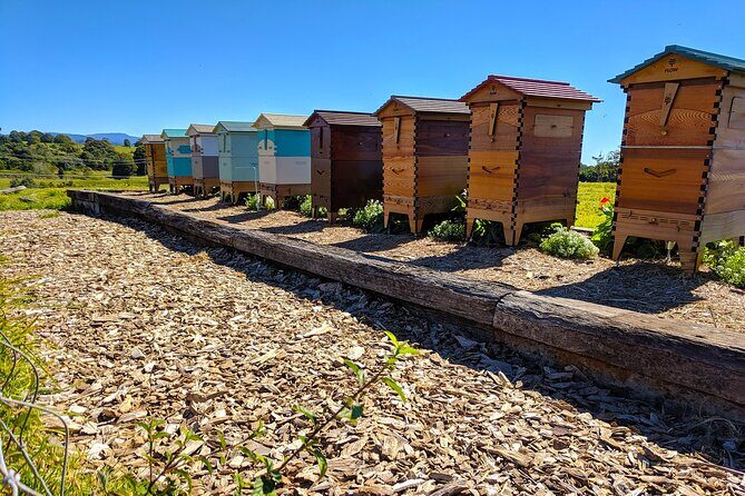 Byron Bay, Bangalow & Gold Coast Day Trip from Brisbane - FAQ