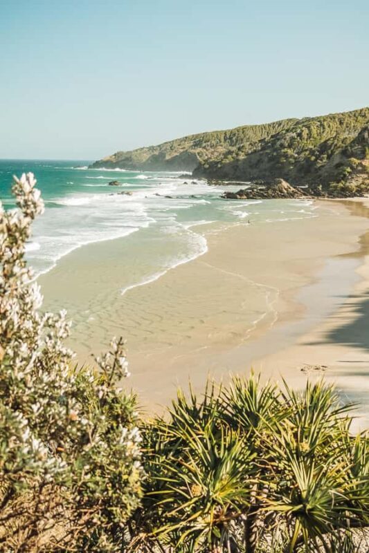 Byron Bay: Behind The Bay Waterfalls & Hidden Gems Day Tour - What the Reviews Say
