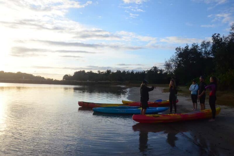 Byron Bay: Brunswick River Sunset Kayak Tour - An Overview of the Brunswick River Sunset Kayak Tour