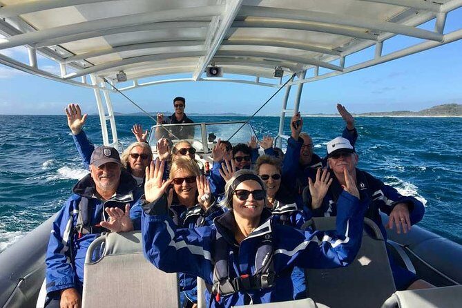 Byron Bay Dolphin Tour - Ocean Safari - What to Expect on the Tour