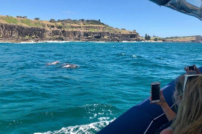 Byron Bay Dolphin Tour - Ocean Safari - FAQs