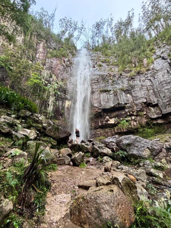 Byron Bay: Glowworms, Waterfalls & Rainforest Experience - An In-Depth Look at the Byron Bay Experience