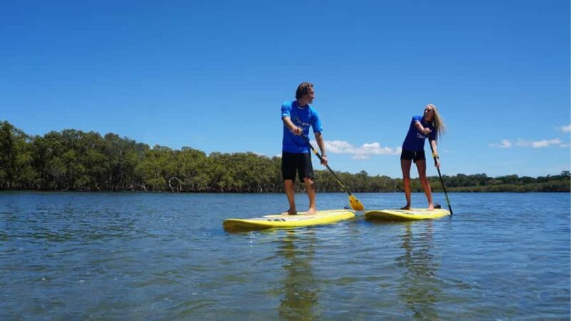 Byron Bay: Group 2.5 Hour Stand-Up Paddle Board Tour - The Sum Up