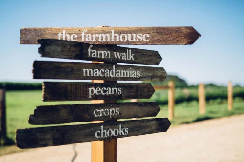 Byron Bay: Hinterland and Bangalow Full-Day Guided Tour - A Full Breakdown of the Tour Experience