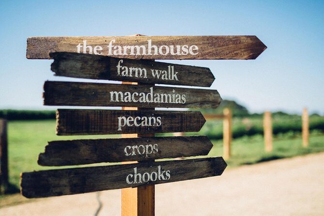 Byron Bay Lighthouse and Hinterland Tour - Final Thoughts