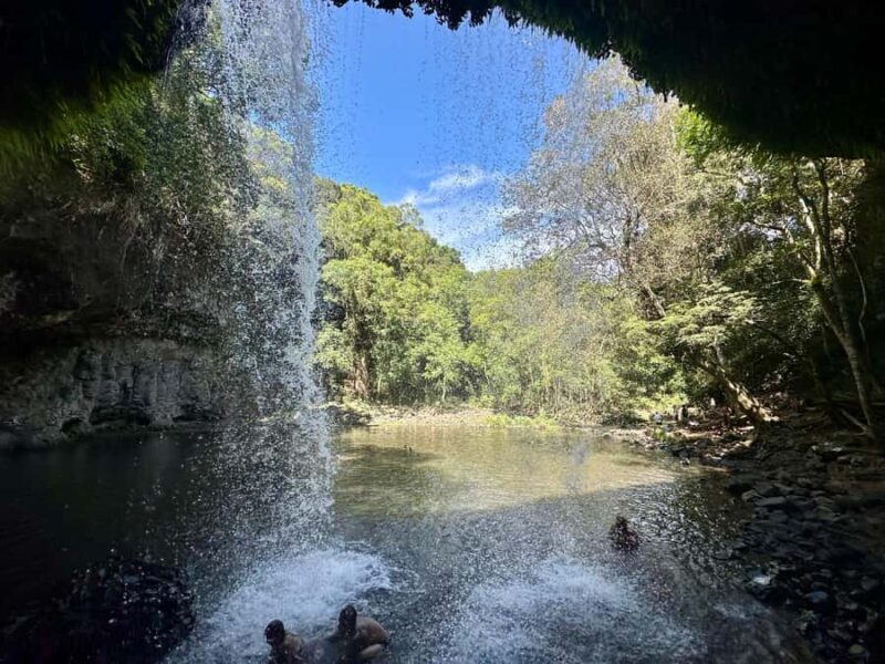 Byron Bay: Rainforest Waterfalls Guided Eco Tour - An In-Depth Look at the Byron Bay Rainforest Waterfalls Eco Tour