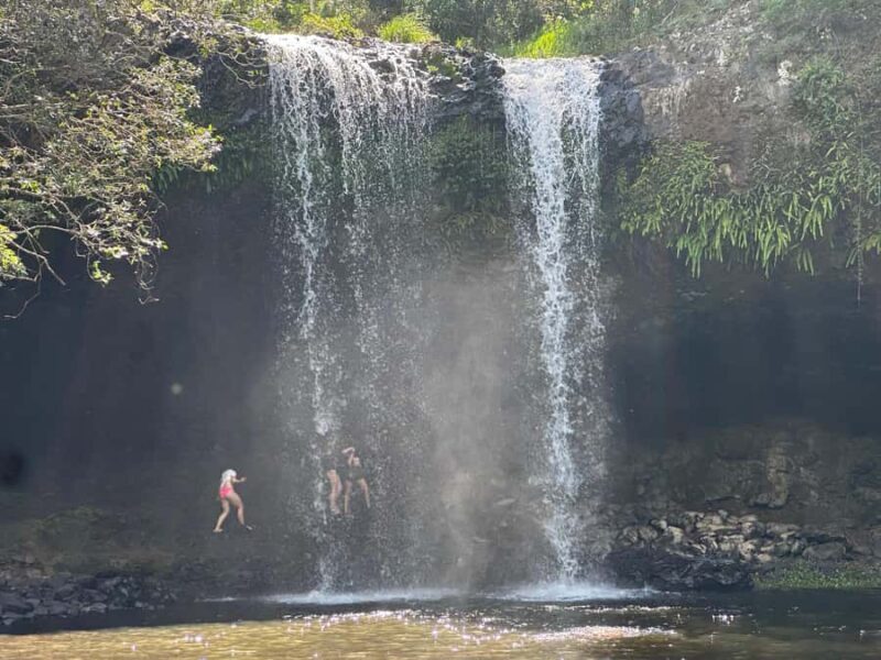 Byron Bay: Rainforest Waterfalls Guided Eco Tour - Summary