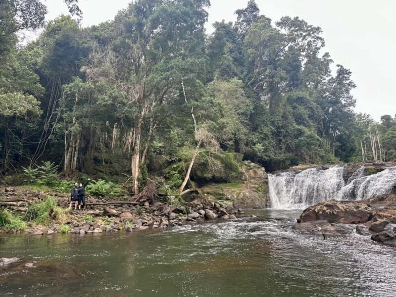 Byron Bay: Rainforest Waterfalls Guided Eco Tour - FAQs