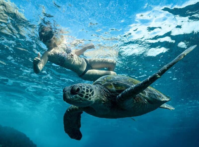 Byron Bay: Snorkeling Tour at Julian Rocks, Nguthungulli - Why Choose This Tour?