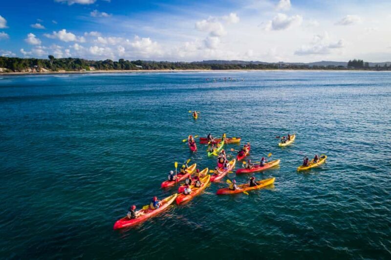 Byron Bay: The Byron Bay Sea Kayak Tour - Who Would Love This Tour?
