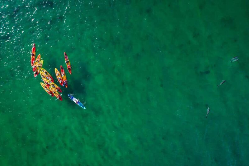 Byron Bay: The Byron Bay Sea Kayak Tour - The Sum Up — Who Should Consider This Tour?