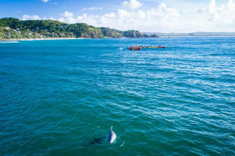Byron Bay: The Byron Bay Sea Kayak Tour - FAQ
