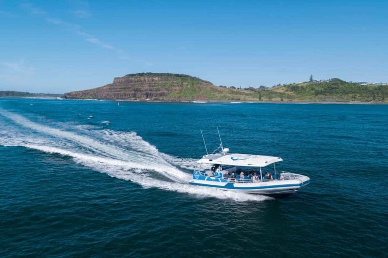 Byron Bay: Whale Watching Cruise with a Marine Biologist - Practical Details and Logistics