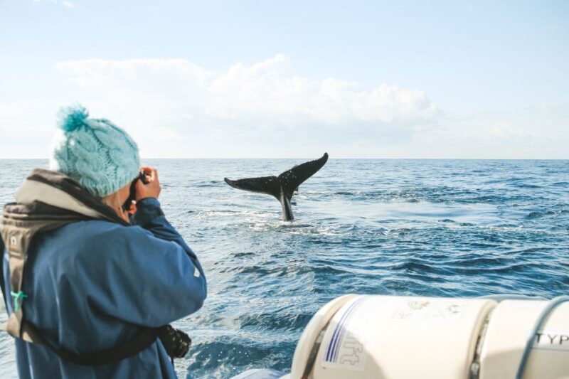 Byron Bay: Whale Watching Cruise with a Marine Biologist - Final Thoughts