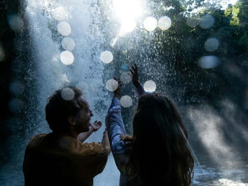 Byron Bay: Wildlife and Waterfall Tour with Breakfast - Why This Tour Delivers Value