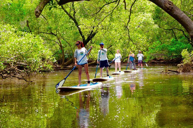 Byron Stand Up Paddle Nature Tour - Key Points