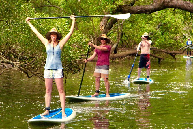 Byron Stand Up Paddle Nature Tour - The Experience: What to Expect on the Byron Stand Up Paddle Tour