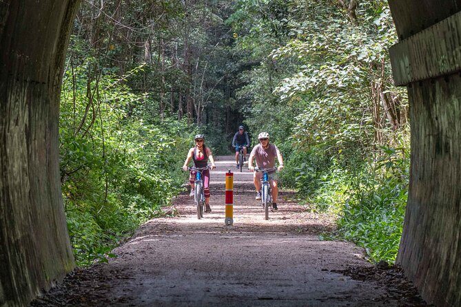 Byron Stand Up Paddle Nature Tour - Transportation and Timing