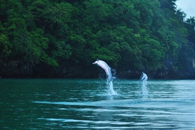 Cable Car And Sky Bridge Plus Tg Rhu Mangrove Boat Tour - Exploring the Itinerary in Detail