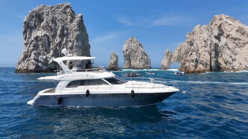 Cabo: Arch, Whales, Snorkel Tour - Food & Drinks 1-20 people - A Closer Look at the Experience