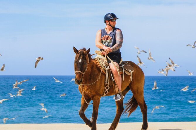 Cabo ATV Adventure with Camel and Horseback Ride - Analyzing the Value