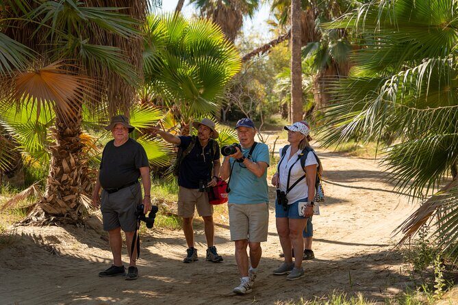 Cabo birding | Bird watching at bird sanctuary - Introduction to the Birding Tour Experience