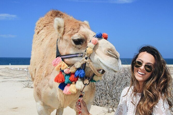Cabo Camel Ride: Beach Safari, Tequila Tasting & Buffet - Key Points
