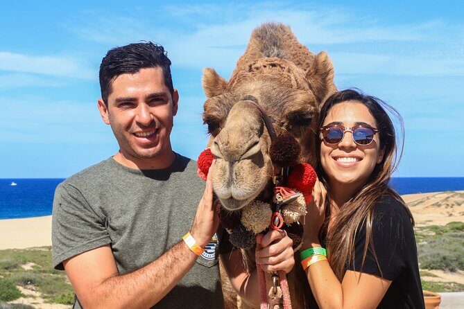 Cabo Camel Ride Experience - Introduction: A Different Outlook on Los Cabos