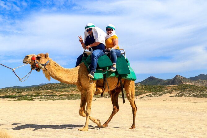 Cabo Camel Ride Experience - The Group Experience: Small, Personal, and Relaxed
