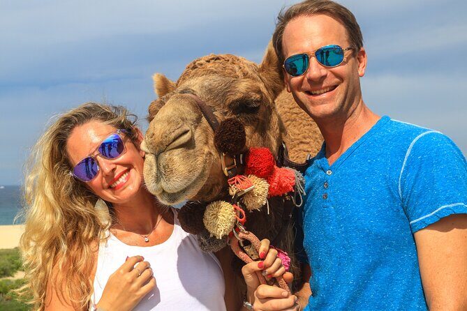 Cabo Camel Ride Experience - Authentic Experiences and Honest Feedback