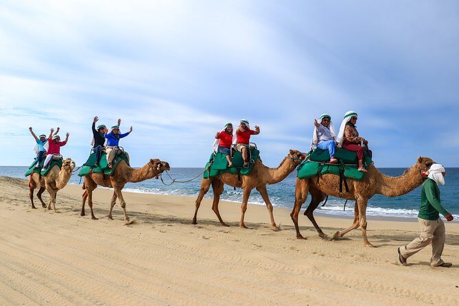 Cabo Camel Ride Experience - FAQ