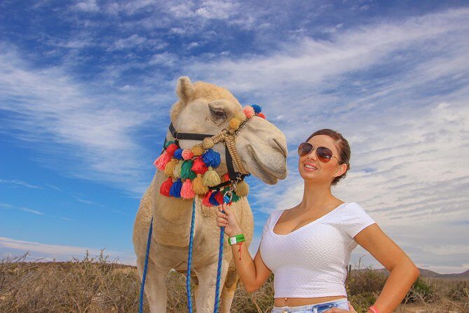 Cabo Camel Ride, Mexican Buffet and Tequila Tasting - An In-Depth Look at the Tour Experience