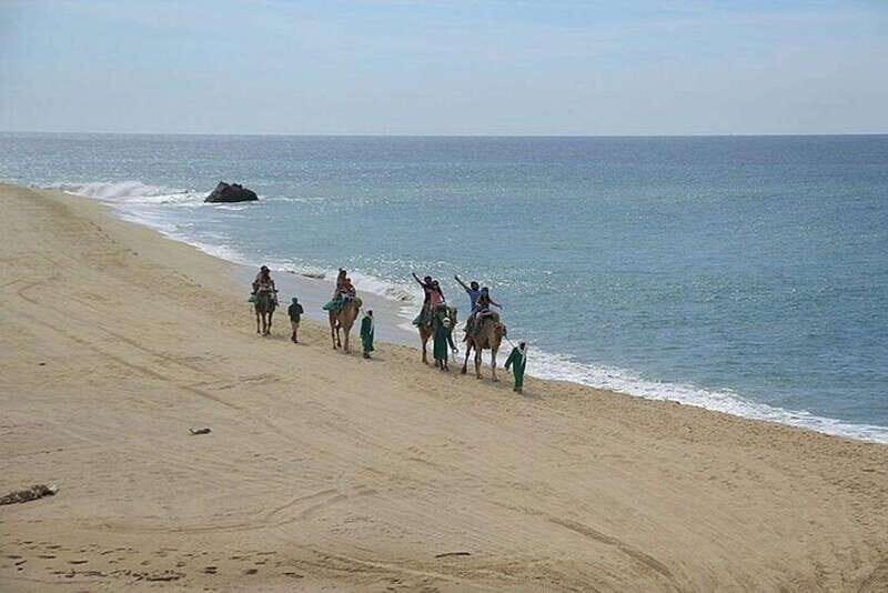 Cabo: Camel Ride On The Beach - Key Points