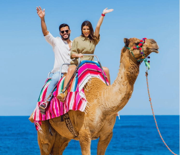 Cabo: Camel Safari Adventure with Tacos - The Value for Money