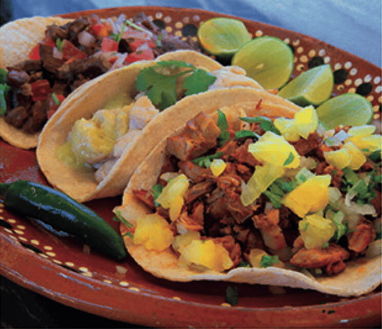 Cabo: Camel Safari Adventure with Tacos - Who Is This Tour Best For?