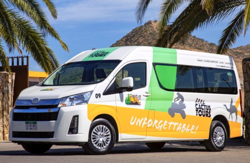 Cabo: Camel Safari Adventure with Tacos - In The Sum Up