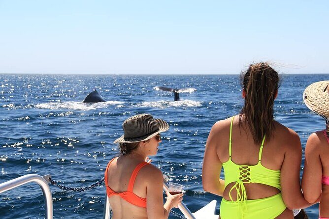 Cabo Catamaran Snorkeling Tour & Coastal Views - Final Thoughts: Is It Worth It?