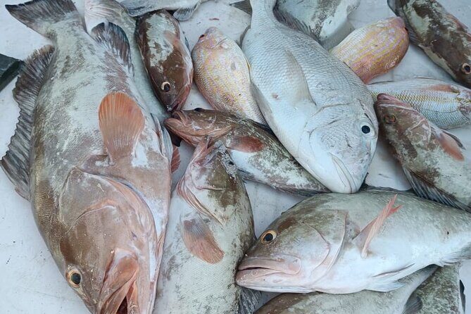 Cabo Catoche Tour with Fishing, Snorkeling and Ceviche - Final Thoughts