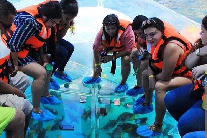 Cabo Clearboat Tour to the Arch with Transportation - Who Will Love This Tour?