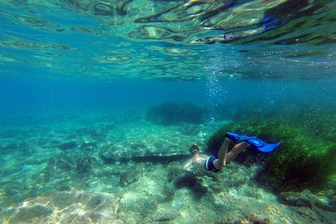 Cabo de Gata Active. Guided kayak and snorkel route through coves of the Natural Park - FAQ