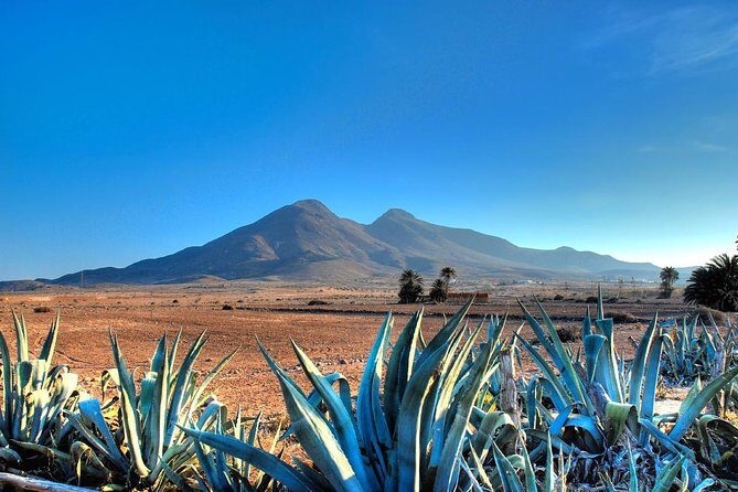Cabo de Gata Natural Park from Roquetas, Aguadulce & Almeria - FAQs
