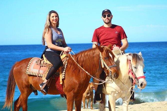 Cabo Desert Off-Road & Beach Horseback Combo and Tequila Tasting - An Authentic Cabo Experience: What to Expect