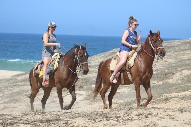 Cabo Desert Off-Road & Beach Horseback Combo and Tequila Tasting - Who Will Love This Tour?